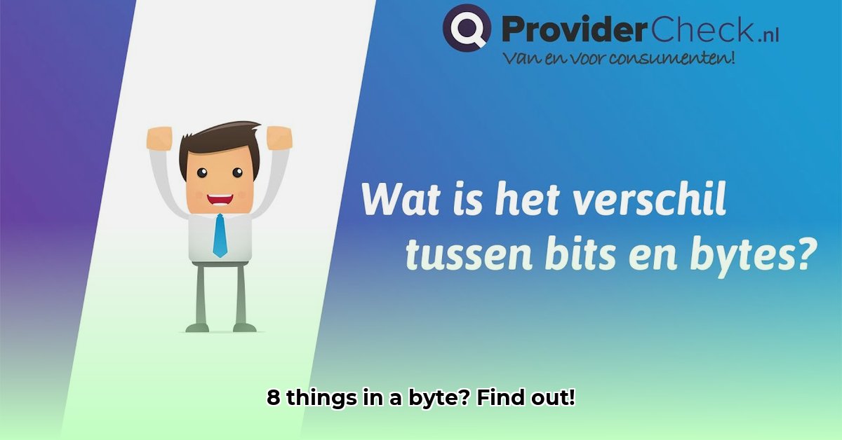 waarvan-zitten-er-acht-in-een-byte